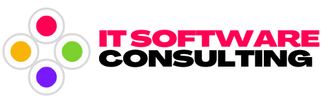 IT Software Consulting logo